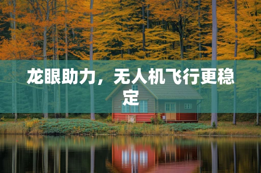 龙眼助力，无人机飞行更稳定