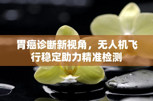 胃癌诊断新视角，无人机飞行稳定助力精准检测