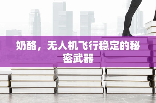 奶酪，无人机飞行稳定的秘密武器