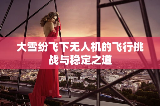 大雪纷飞下无人机的飞行挑战与稳定之道