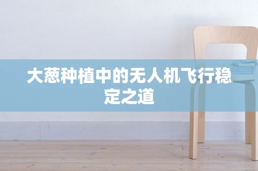 大葱种植中的无人机飞行稳定之道