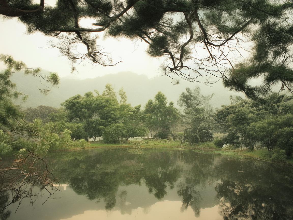 无人机助力养老院，守护飞行稳定
